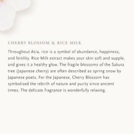 Rituals THE RITUAL OF SAKURA Life is a Journey Recambio Perfume Coche 2x3g - Fragancia Flor de Cerezo y Leche de Arroz
