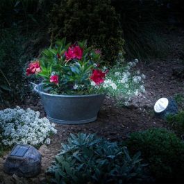Galix Lámpara Solar LED de Jardín con Forma de Roca de Poliresina para Exterior, 4 LED Blancos, 10 Lúmenes, hasta 8 Horas Galix Lámpara Solar LED de Jardín con Forma de Roca de Poliresina para Exterior, 4 LED Blancos, 10 Lúmenes, hasta 8 Horas