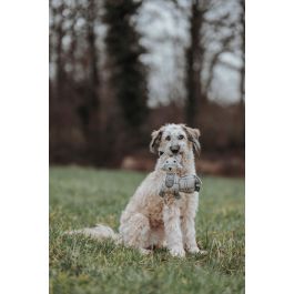 Hunter Juguete para Perro Zorro Billund 23 cm Beige con Relleno Suave y Sostenible de Lana/Poliéster Reciclado