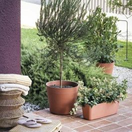 Deroma DER0191942097972 Maceta Origen de Terracota 22,3 L