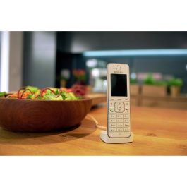 AVM C6 Teléfono DECT Inalámbrico Fritz!Fon, Altavoz, Identificador de Llamadas, 300 Entradas, Blanco