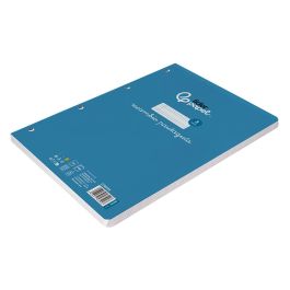 Recambio Liderpapel A4 Pautaguia 100 Hojas 75 gr Cuadriculado Pautado 3 mm Con Margen 4 Taladros