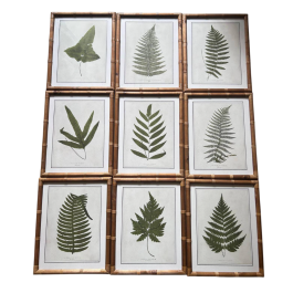 DKD Home Decor Cuadro Cottage Bambú Cristal Verde Natural Botánico 2.5 x 50 x 40 cm (9 Unidades) DKD Home Decor Cuadro Cottage Bambú Cristal Verde Natural Botánico 2.5 x 50 x 40 cm (9 Unidades) Precio: 225.79000026. SKU: B1GMQVH4TF