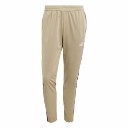Chándal Adidas Spw Small Logo Tricot Colorblock Beige Hombre