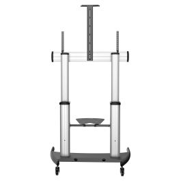 Soporte TV Startech STNDMTV100 100"