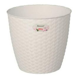 Stefanplast Maceta Natural Interior/Exterior Blanco 14 cm de diámetro 14x13x14 cm (12 Unidades) Precio: 18.79000046. SKU: S3601802