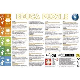 Puzzle - EDUCA - Osito Pardo: Set de 2 puzzles de 48 piezas para niños a partir de 4 años