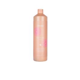 Champú Discipline Anti-Frizz Echosline - 1000ml - Cabello Disciplinado y Suave con Aceite de Lino y Argán Precio: 13.6900005. SKU: B1HWELD4ML