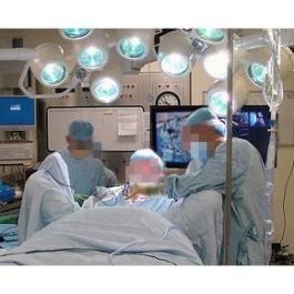 Ergotron Interactive TV Arm Soporte Pared TV 30"-55" hasta 18.2kg Aluminio