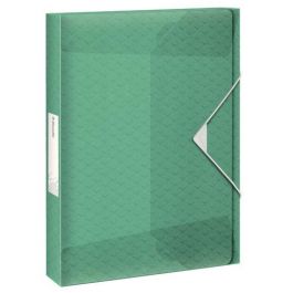 Carpeta De Proyectos Esselte Colour Breeze Pp A4 Gomas 4 Cm Verde 5 unidades Precio: 53.49999996. SKU: B19YF2JT6V