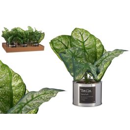 Ibergarden Planta Artificial Verde en Lata Plata 26 x 26 x 26 cm (Set de 12) Precio: 65.88999945. SKU: S3609459