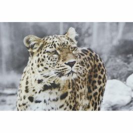 Cuadro Colonial DKD Home Decor Multicolor 1.8 x 70 x 50 cm (4 Unidades) Cuadro Colonial DKD Home Decor Multicolor 1.8 x 70 x 50 cm (4 Unidades)