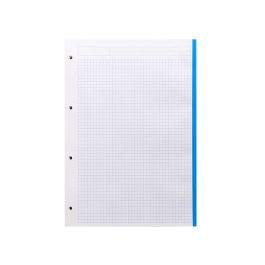 Recambio Liderpapel A4 100 Hojas 100 gr-M2 Cuadro 5 mm 4 Taladros Bandas De 5 Colores 24 unidades