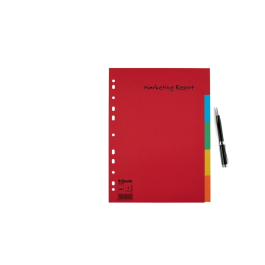 Separadores Esselte Multicolor 5 Hojas A4 (20 Unidades)