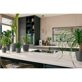 Elho 5661461877341 Juego 3 Maceteros Redondos The Coffee Collection Plástico Marrón Ø14/16/18cm Capacidad 7L