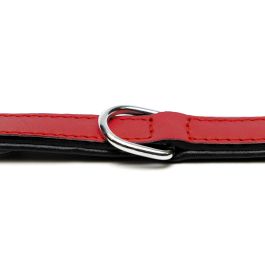 Gloria Collar Piel Acolchado Rojo 30 cm X 15 mm