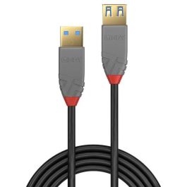 Lindy Cable de Extensión USB 3.2 Tipo A a A 0.5m 5Gbps Anthra Line