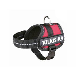 Arnés para Perro Julius K9 Power Rojo 1 Baby 1 (XS)