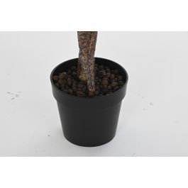 DKD Home Decor Planta Verde Rosa 60 x 125 x 60 cm