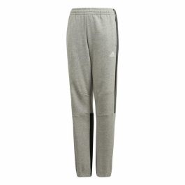 Pantalón Deportivo Infantil Adidas Gris