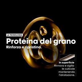 Set de Peluquería L'Oreal Professionnel Paris ABSOLUT REPAIR 2 Piezas