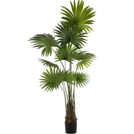 Planta Decorativa Alexandra House Living Plástico Palmera 180 cm