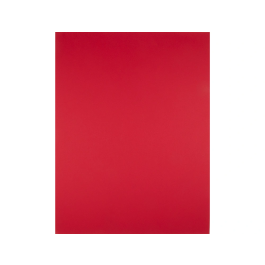 Liderpapel Cartulina 50x65 cm 240g/m2 Rojo Navidad para Dibujo y Manualidades