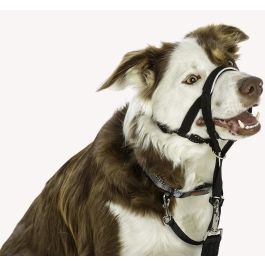 Company Of Animals Bozal Halti Headcollar Negro Talla 2 para Perros Grandes con Cuello 35-48cm y Hocico 21-28cm