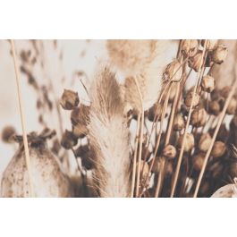 DKD Home Decor Cuadro Beige Marron Oscuro Lienzo 4 x 120 x 80 cm (2 Unidades)