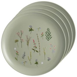 Day Juego de 4 Platos 25 cm Colores Surtidos Arena Natural Verde Musgo Amarillo Arena Ilustraciones de Plantas Precio: 4.79000038. SKU: B1FN98BY6L