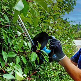 Koma Tools Cortasetos 20v-cs 20V (sin batería ni cargador) 410mm de corte, Ø18mm de diámetro