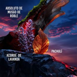 Drakkar DRAKKAR NOIR Eau de Toilette Vaporizador Hombre 100 ml Fougère Aromática