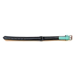 Gloria Collar Perro Piel Auténtica Acolchado Triple Capa Suave - Verde, 30 cm Largo x 15 mm Ancho, Cómodo Antiroces
