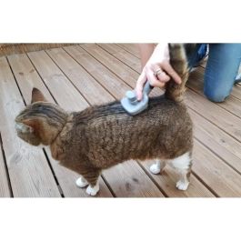 VETOCANIS Cepillo para Gatos, Retráctil y Autolimpiante, con Puntas Redondeadas para Eliminar Pelo Muerto Suavemente
