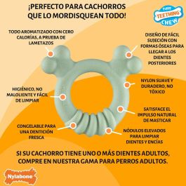Mordedor de perro Nylabone SENSORY TACTILE RING Verde Manteca de cacahuete Pollo S