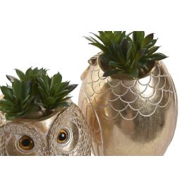 DKD Home Decor Planta Colonial Dorado Verde 18 x 11.5 x 11 cm