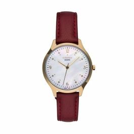 Reloj Hombre Cauny CMJ008 Precio: 156.09. SKU: B1GLR3HBVN