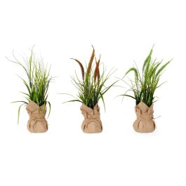 Planta Saco Grande Junco Surtidos Colores Ibergarden 13X46CM (12 Unidades) Planta Saco Grande Junco Surtidos Colores Ibergarden 13X46CM (12 Unidades)