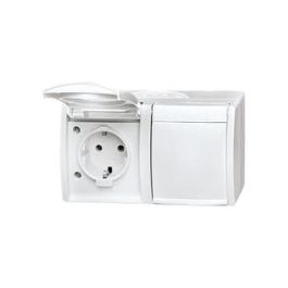 BUSCH-JAEGER BJ 20/2EW-54 Steckdose Klappdeckel waagerecht 2f alpinweiß IP44 Precio: 43.3785. SKU: B177NV9LZK