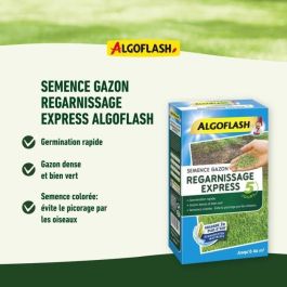 Grass Seeds Express Relining 5 días 3 kg Grass Seeds Express Relining 5 días 3 kg