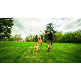 FLINGERZ Pelota de Juguete para Perro con Lanzador Universal - Goma Resistente, Rellenable con Snacks, Silbante, Flotante, Lanzamiento Largo FLINGERZ Pelota de Juguete para Perro con Lanzador Universal - Goma Resistente, Rellenable con Snacks, Silbante, Flotante, Lanzamiento Largo