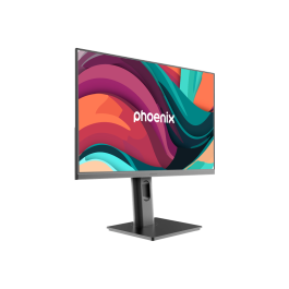 Phoenix Essence 24 Pro Monitor 23.8 Pulgadas Full HD IPS 100Hz