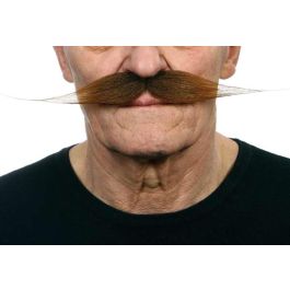 Bigote adulto talla única Precio: 6.50000021. SKU: S2418533