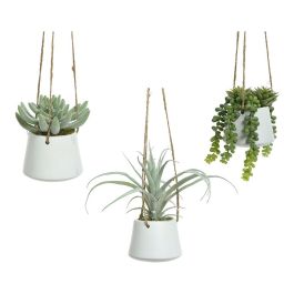 Planta Suculenta Colgante Artificial Modelos Surtidos 800073 Medida 20cm Precio: 10.58999986. SKU: B15NGS6GY4