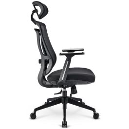 Sharkoon OfficePal C20 Silla de Oficina Ergonómica con Respaldo de Malla y Asiento Acolchado de Tela Negra
