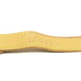 Gloria Correa para Perro Nobuk Oasis Reforzada con Mosquetón Retráctil 60 cm x 30 mm Amarillo