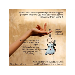 Wondee Llavero USB Hedwig 32GB Harry Potter Pendrive con Adaptador USB C