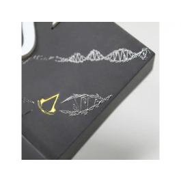 Wondee Lámpara Assassin's Creed Gaming 5W de Capuchón