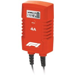 Cargador De Bateria Bc240 F110793 Precio: 30.9899997. SKU: S3723047
