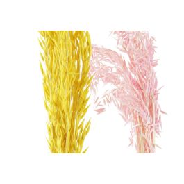 DKD Home Decor Rama de Flor Seca Avena Decorativa Amarillo Rosa para Interiores | 63 cm Alto | Pack 12 Unidades DKD Home Decor Rama de Flor Seca Avena Decorativa Amarillo Rosa para Interiores | 63 cm Alto | Pack 12 Unidades